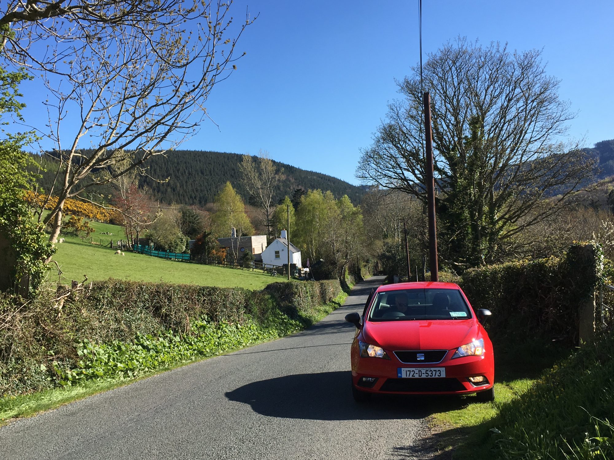 Dreaming about travel: driving through scenic landscapes Dreaming about travel: driving through scenic landscapes