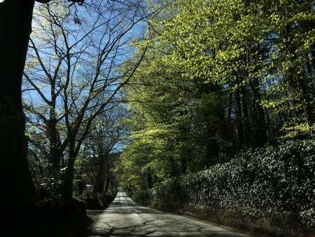 Driving through Wicklow Mountains