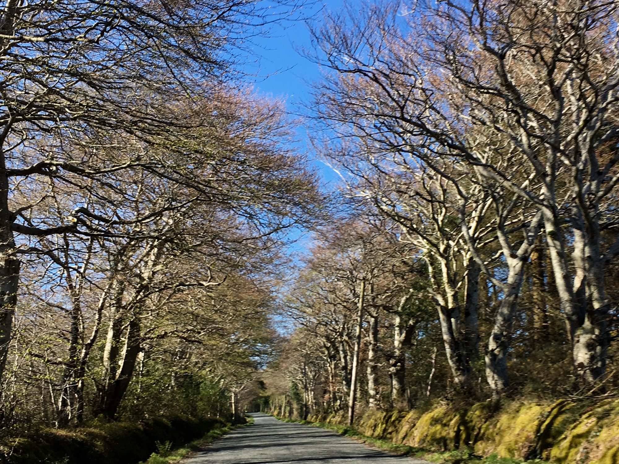 Driving along Wicklow back roads Driving to Wicklow mountains, Ireland