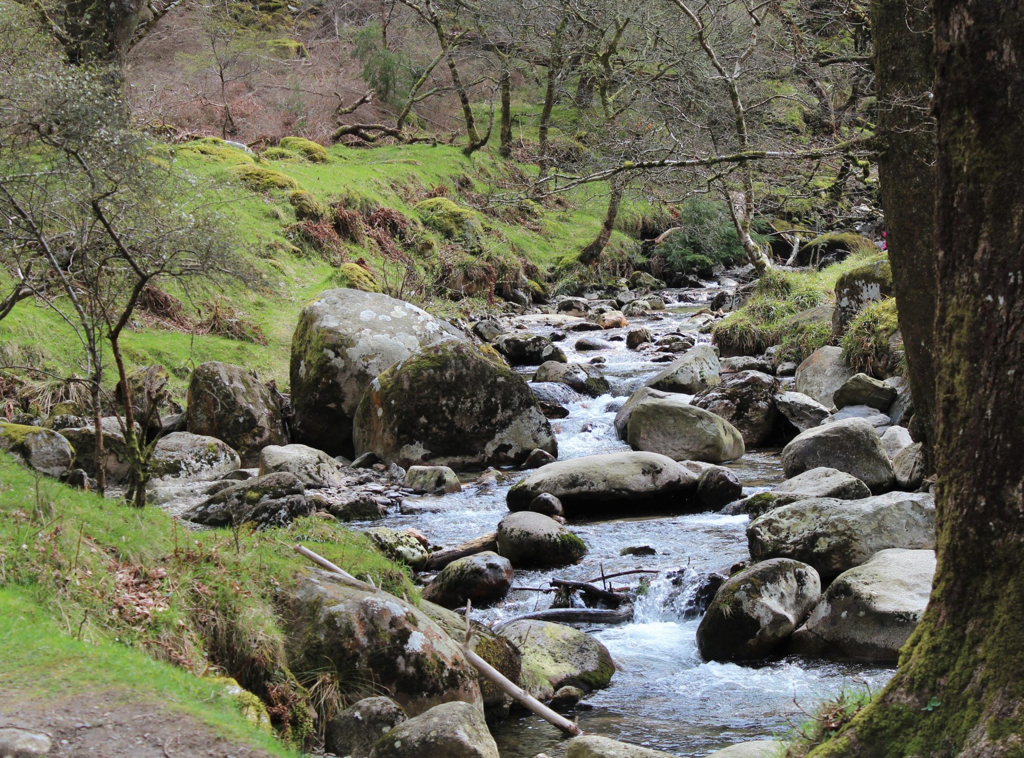 Glendalough river Glendalough river