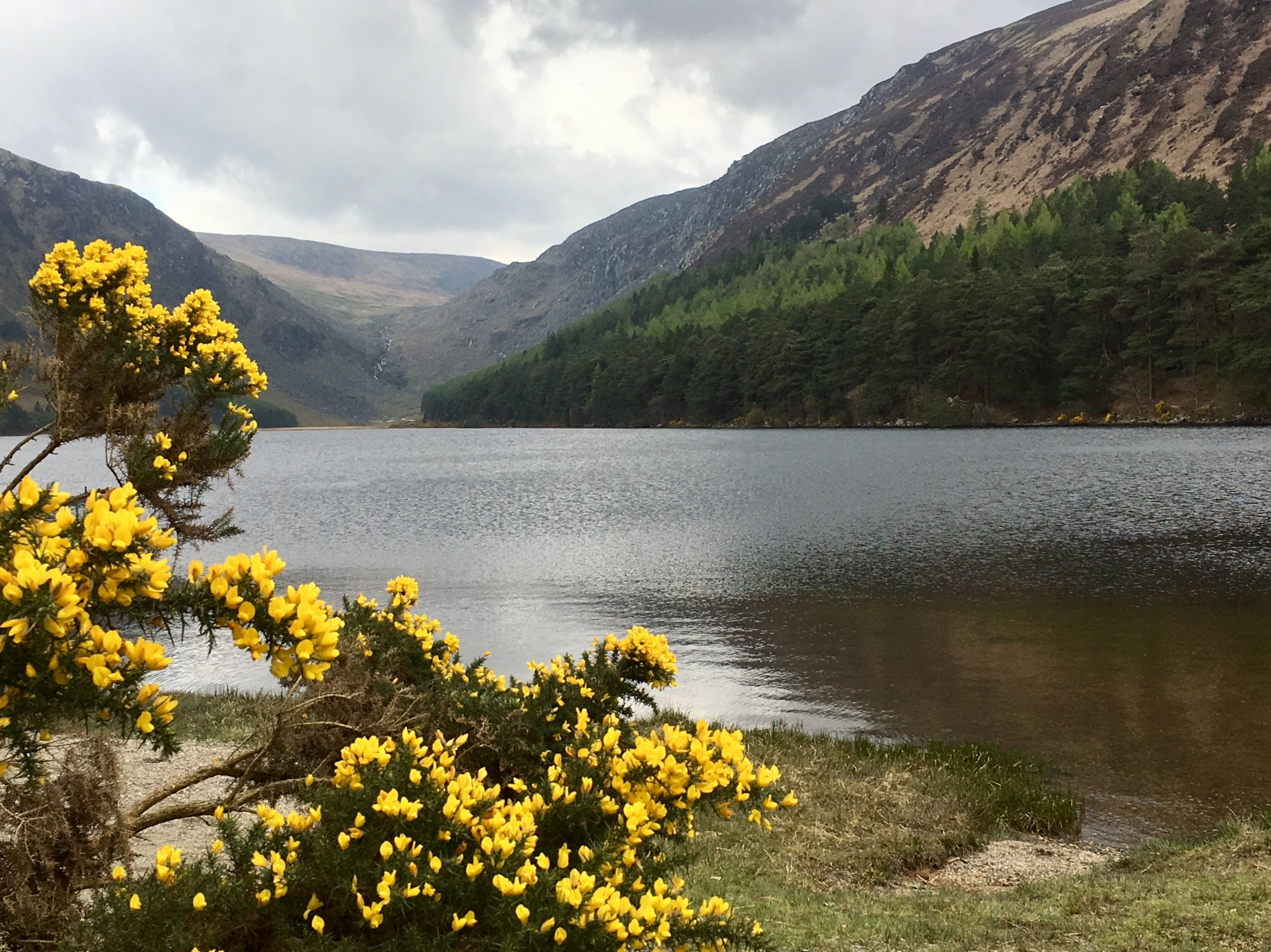 The Upper Lake of Glendalough, Wicklow Mountains Glendalough, Wicklow Mountains, Ireland