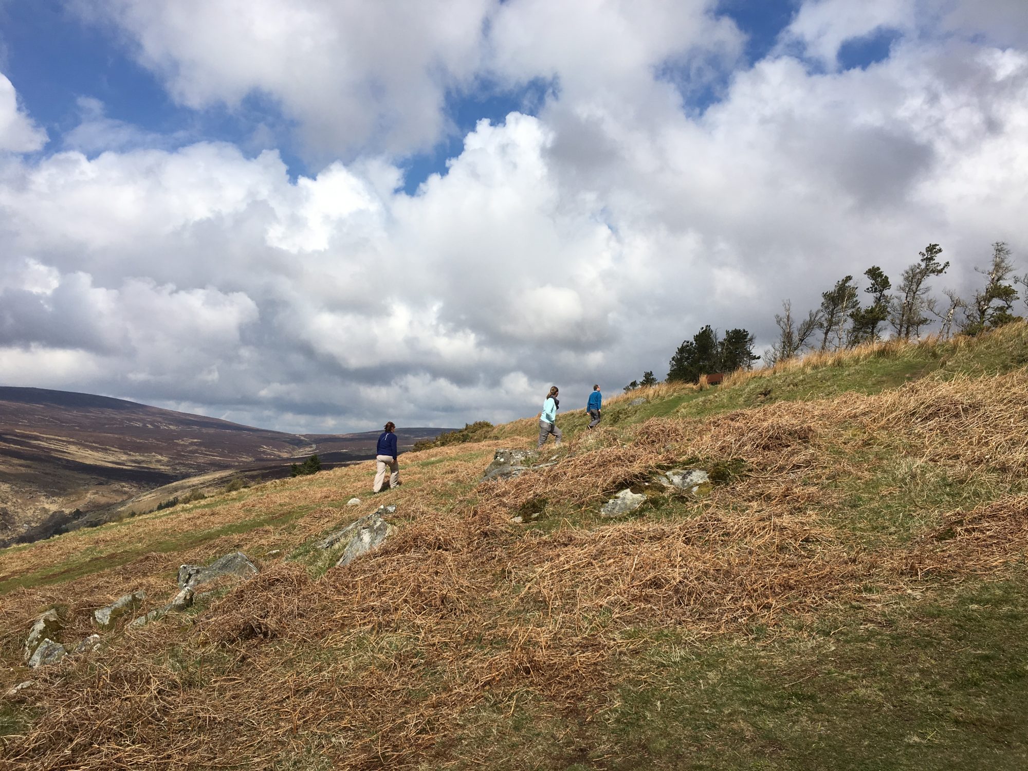 Hiking in Wicklow Mountains, Ireland Hiking in Wicklow Mountains, Ireland