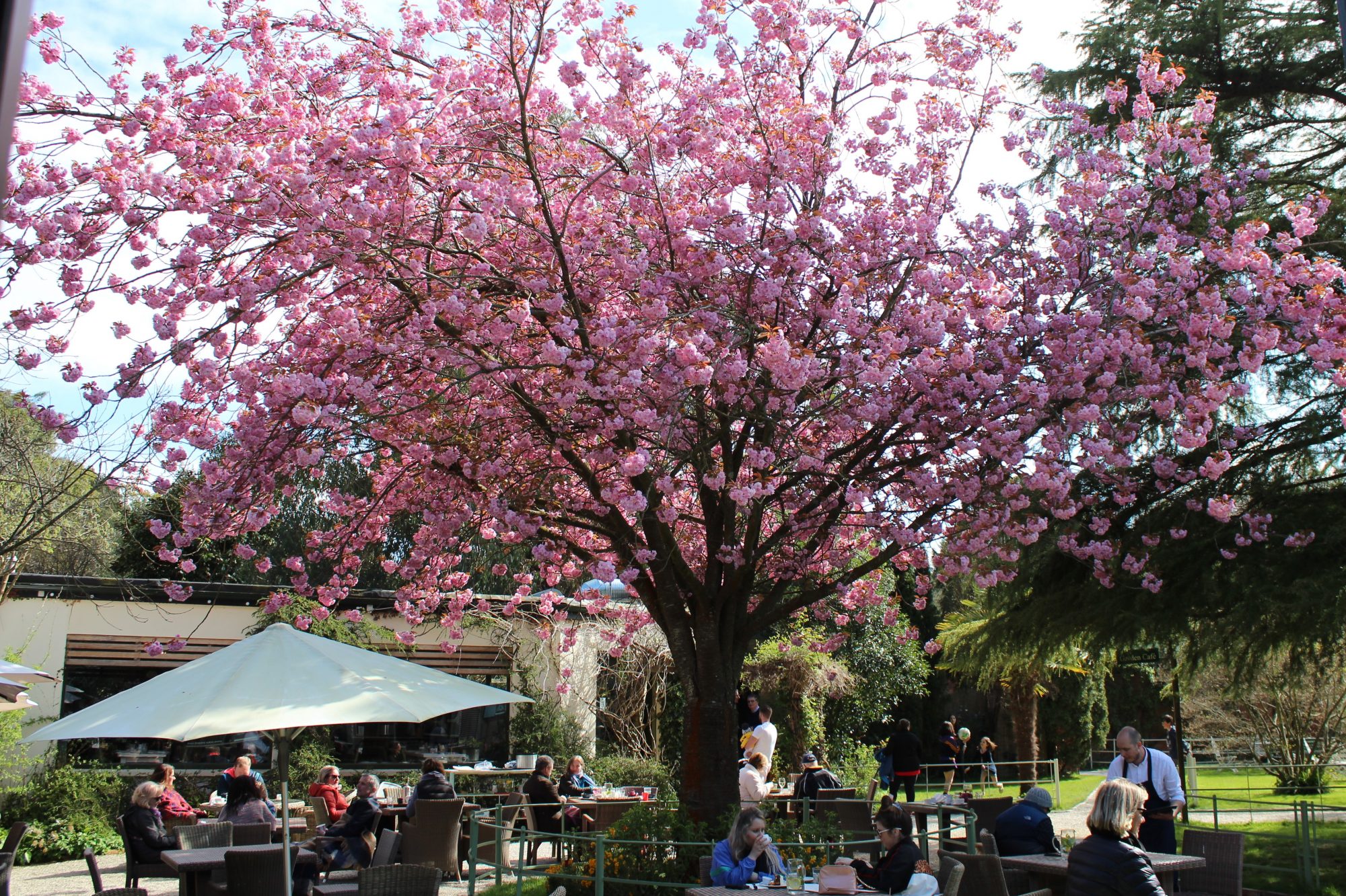 Mount Usher garden cafe, Wicklow Mount Usher garden cafe, Wicklow