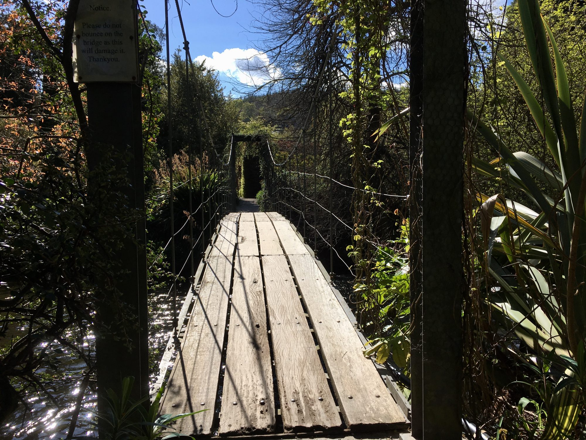 Mount Usher Garden hanging bridge Mount Usher Gardens hanging bridge