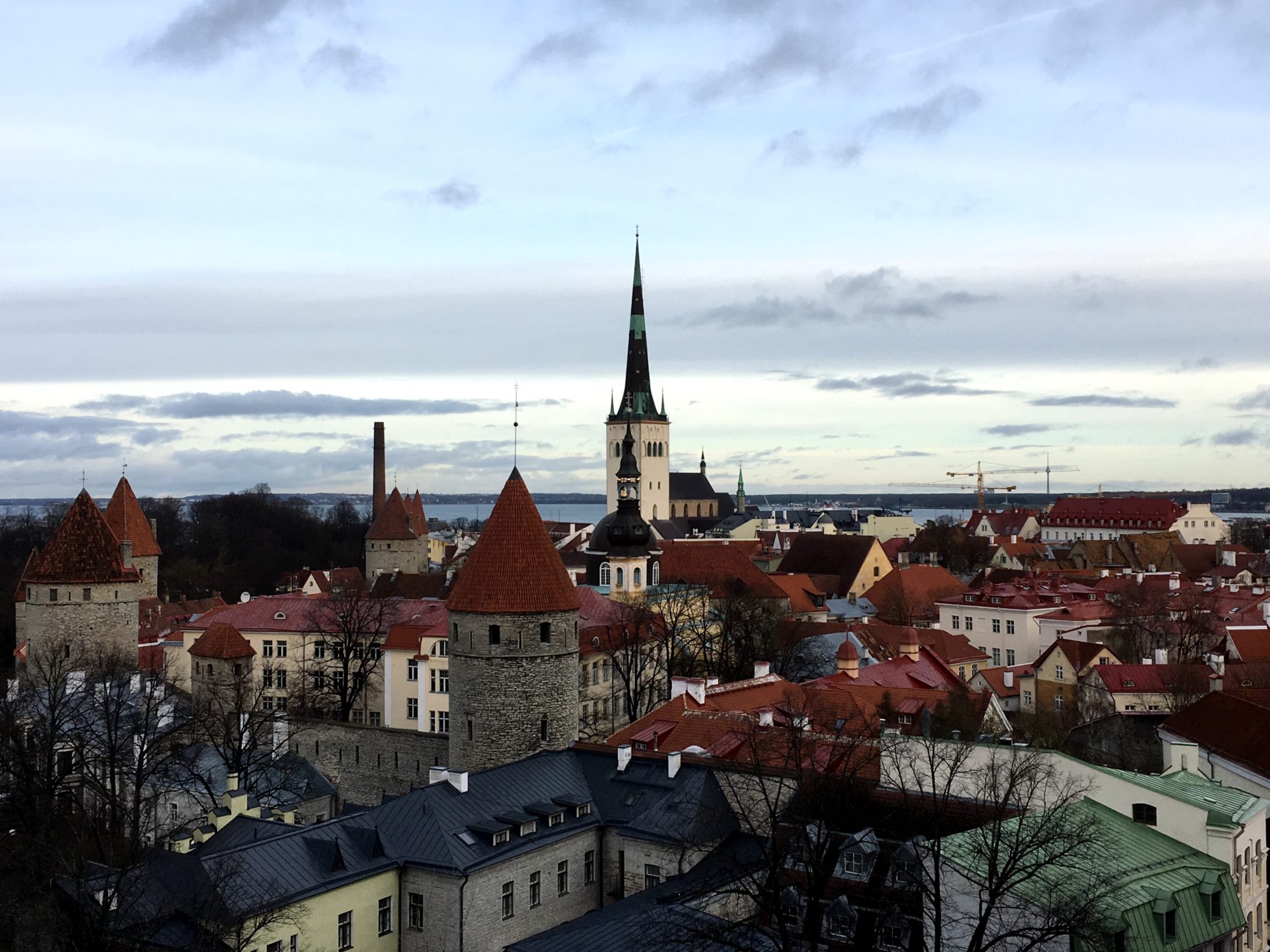 Tallinn Old Town from Toompea Hill