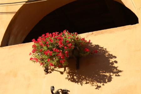 Brisighella flowers, Italy