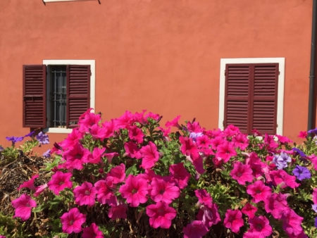 Fontanellato flowers