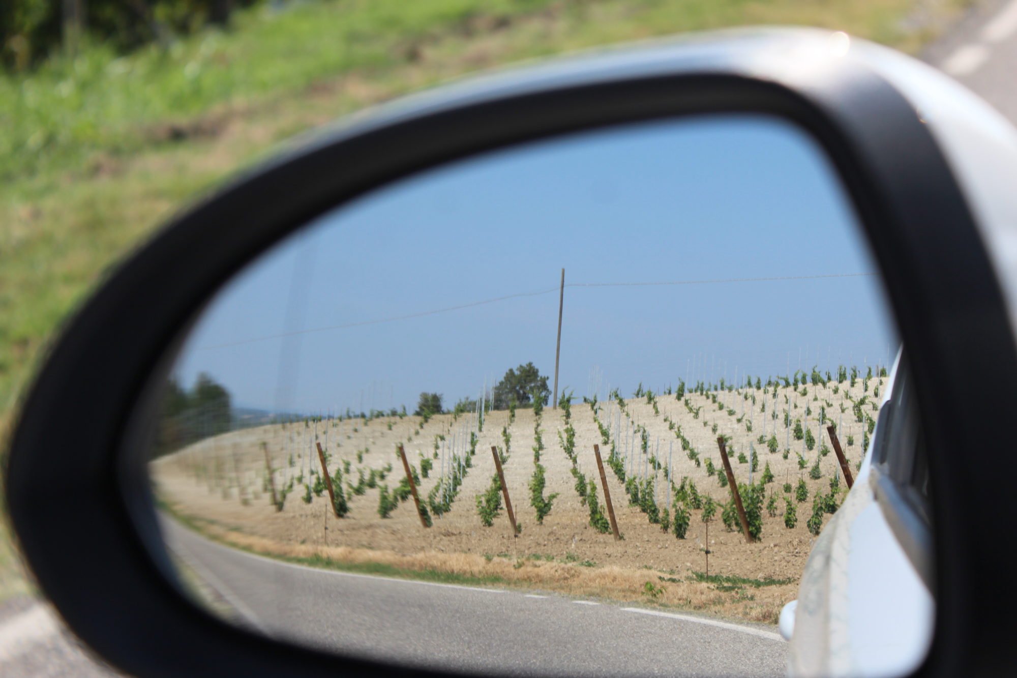 We left the plains behind Italian vineyard, Emilia Romagna