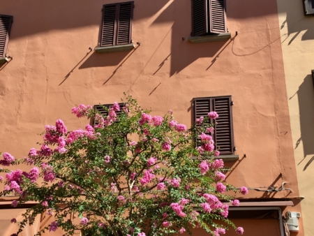 Italy's pretty towns, Castel San Pietro Terme house wall