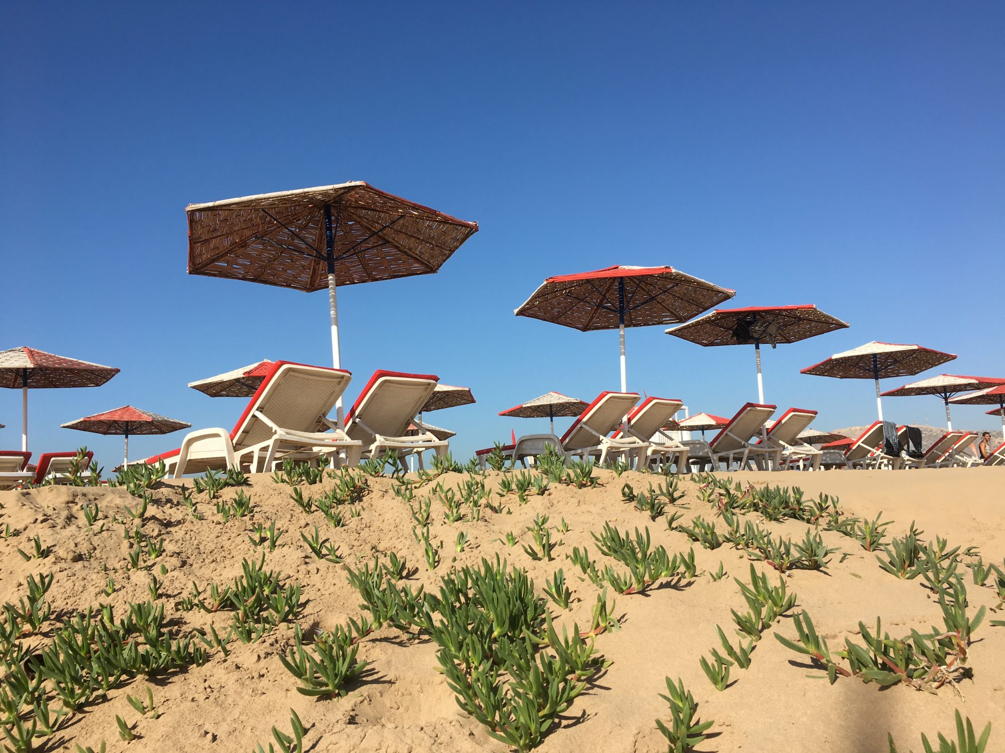 Beach sun loungers