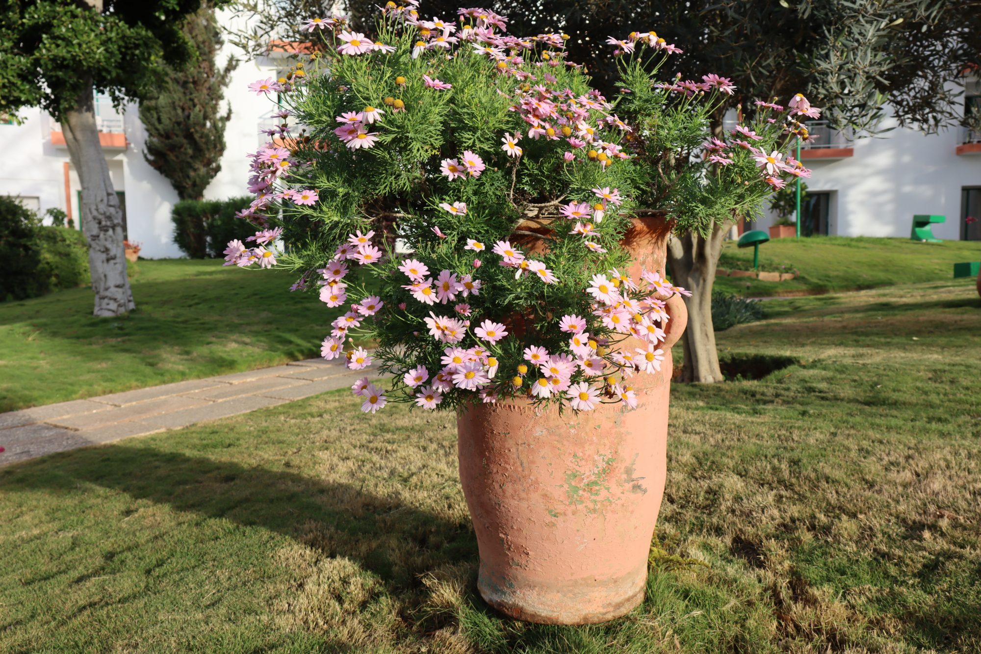 Agadir hotel garden