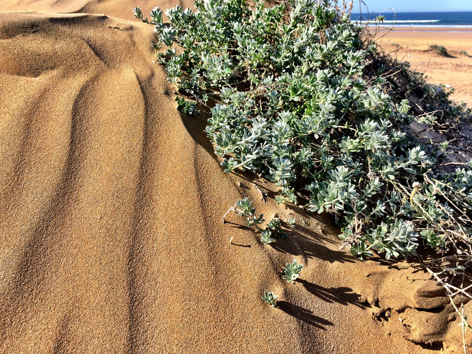 Agadir: sand, beach and sun