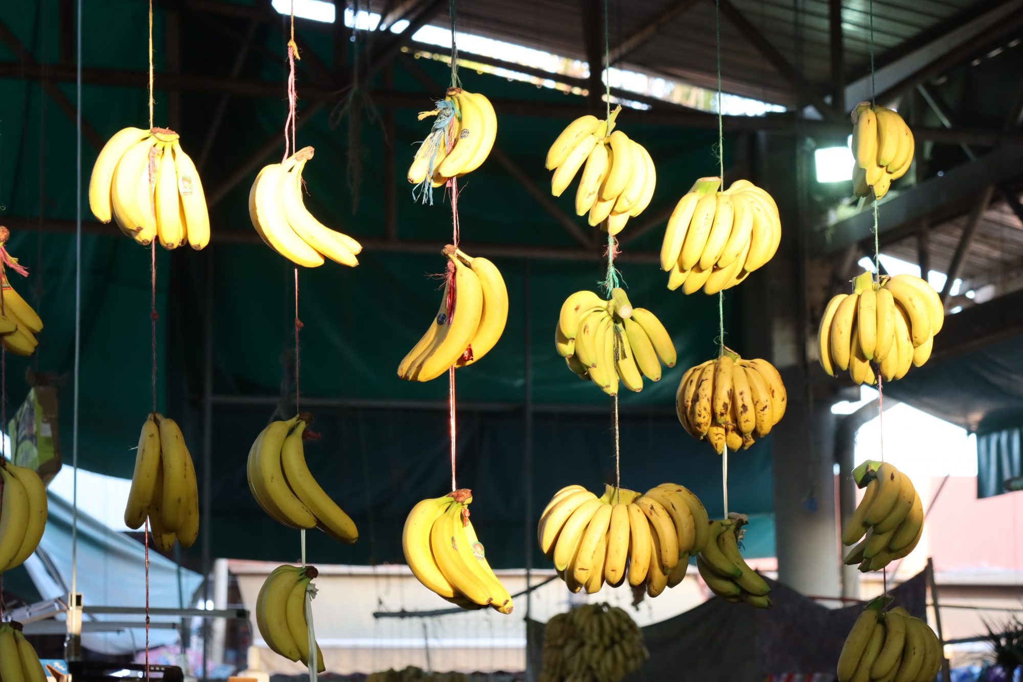 Bananas sold at Souk el Had, Agadir