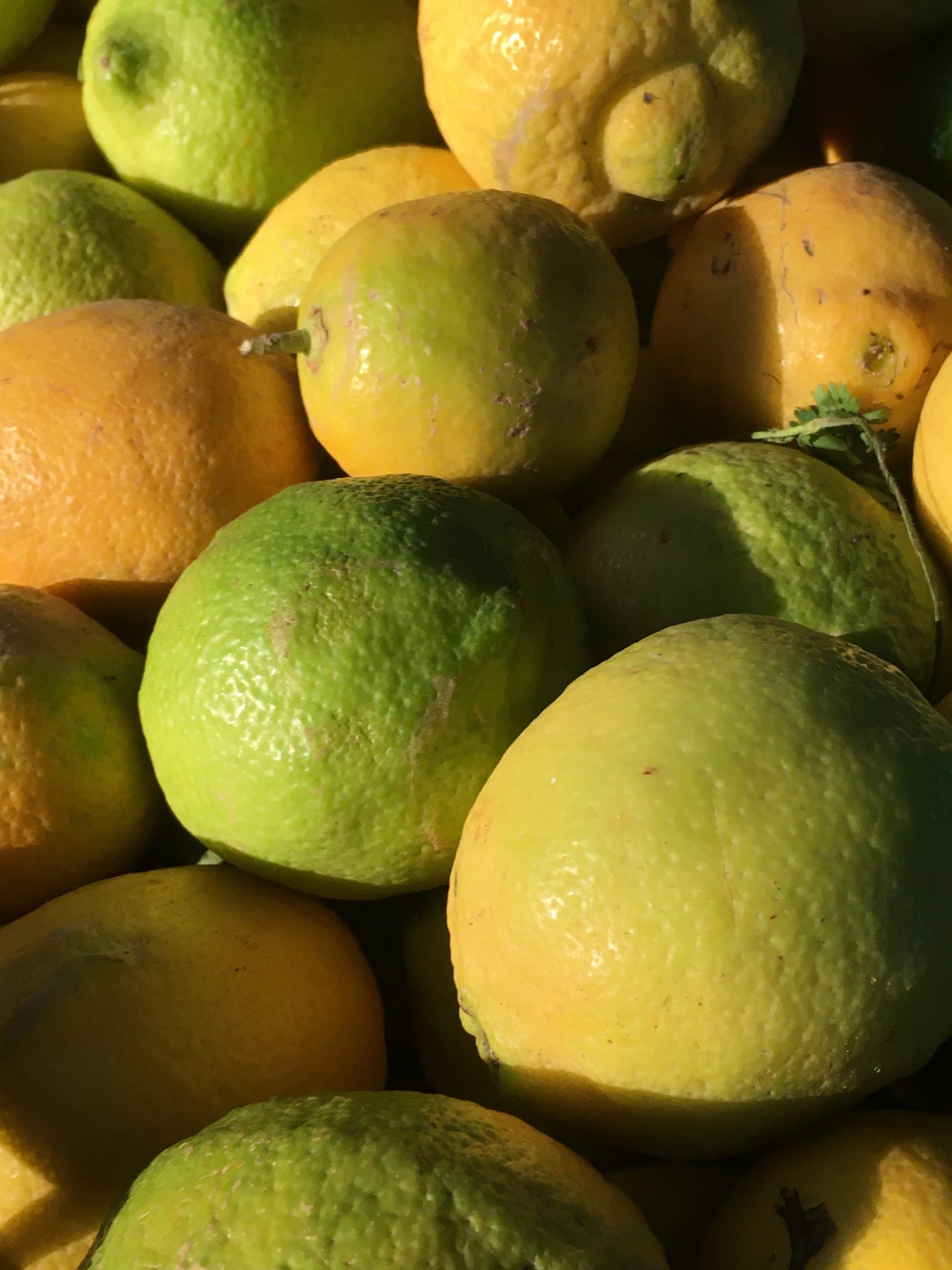 Fresh local fruit for sale