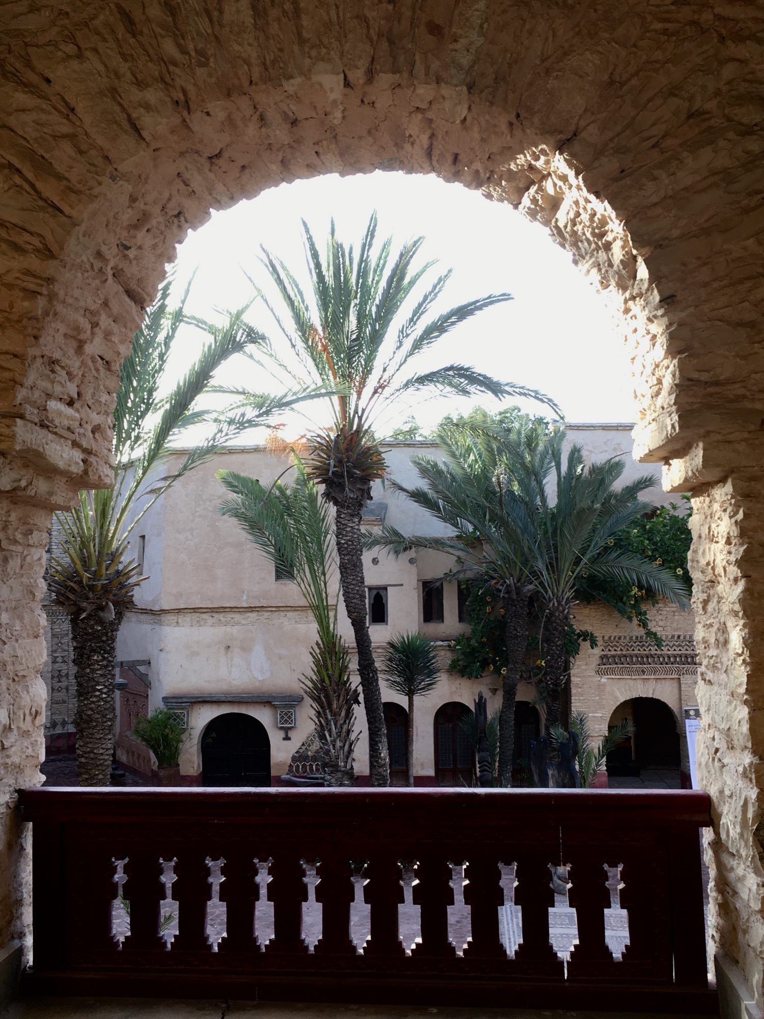 Palms of Agadir Medina by Coco Polizzi