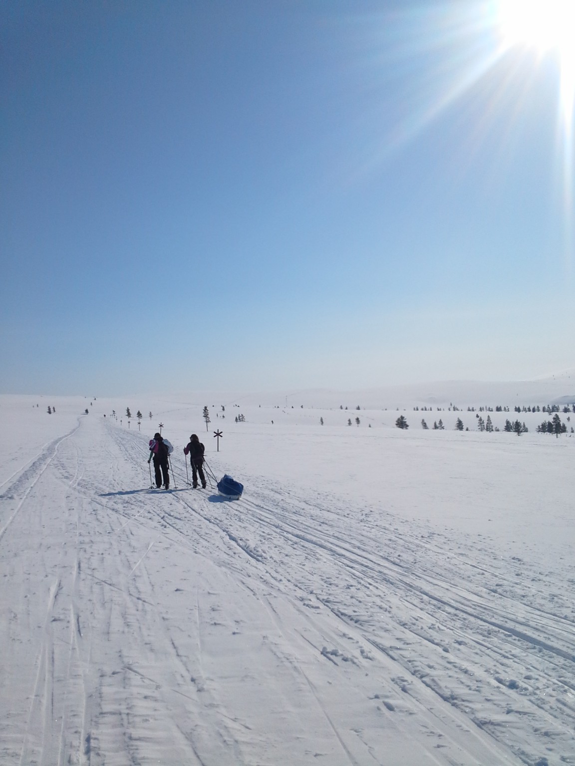 Ski tour in Lapland, skiing in the Saariselkä wilderness