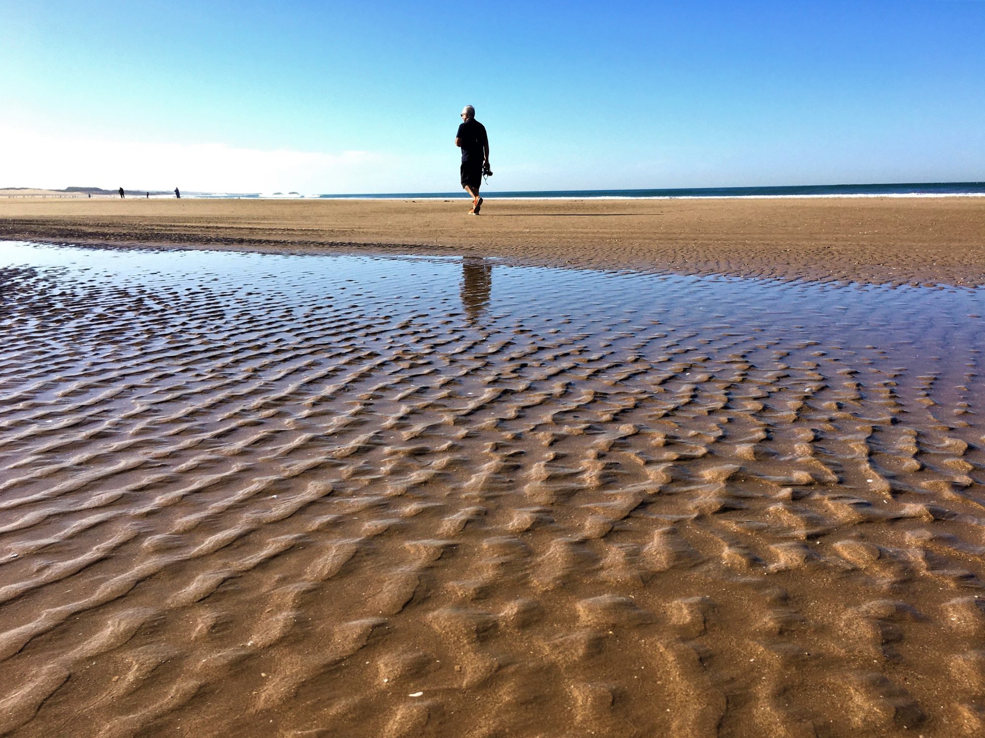 Walking on the wet sands 