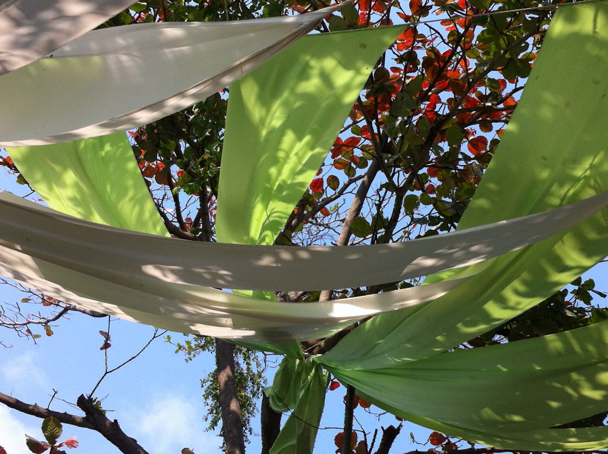 Ribbons in Ko Samet trees 