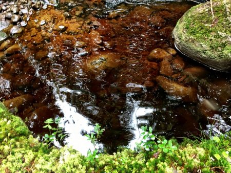 Ostrobothnia road trip: Brown river of Katikan kanjoni, Kauhajoki