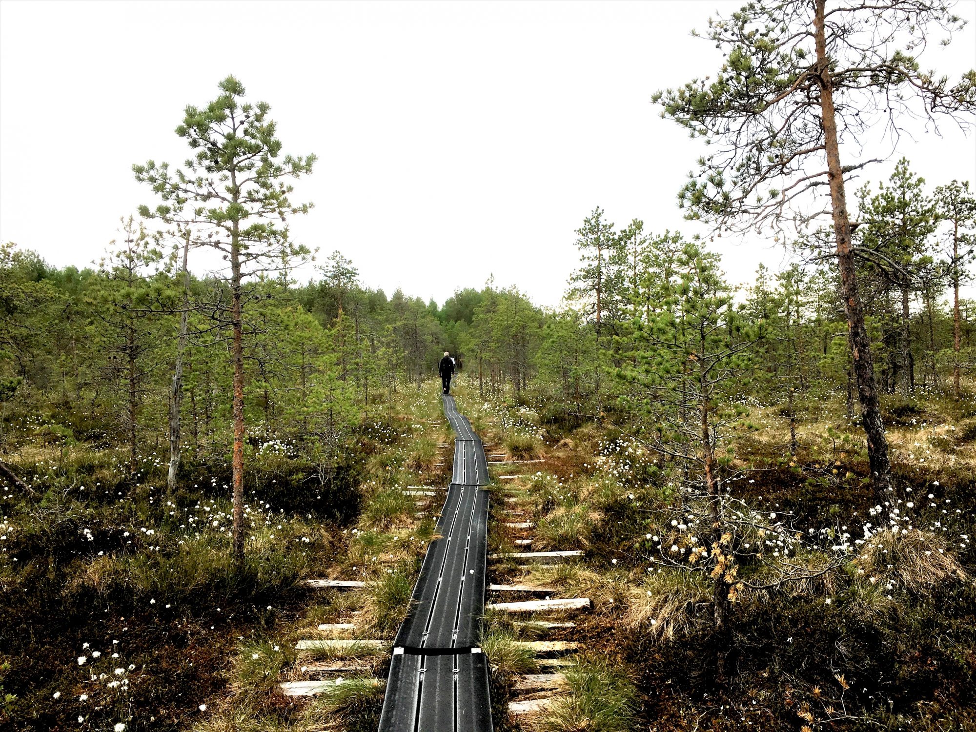 Hiking in Paukaneva, Ostrobothnia