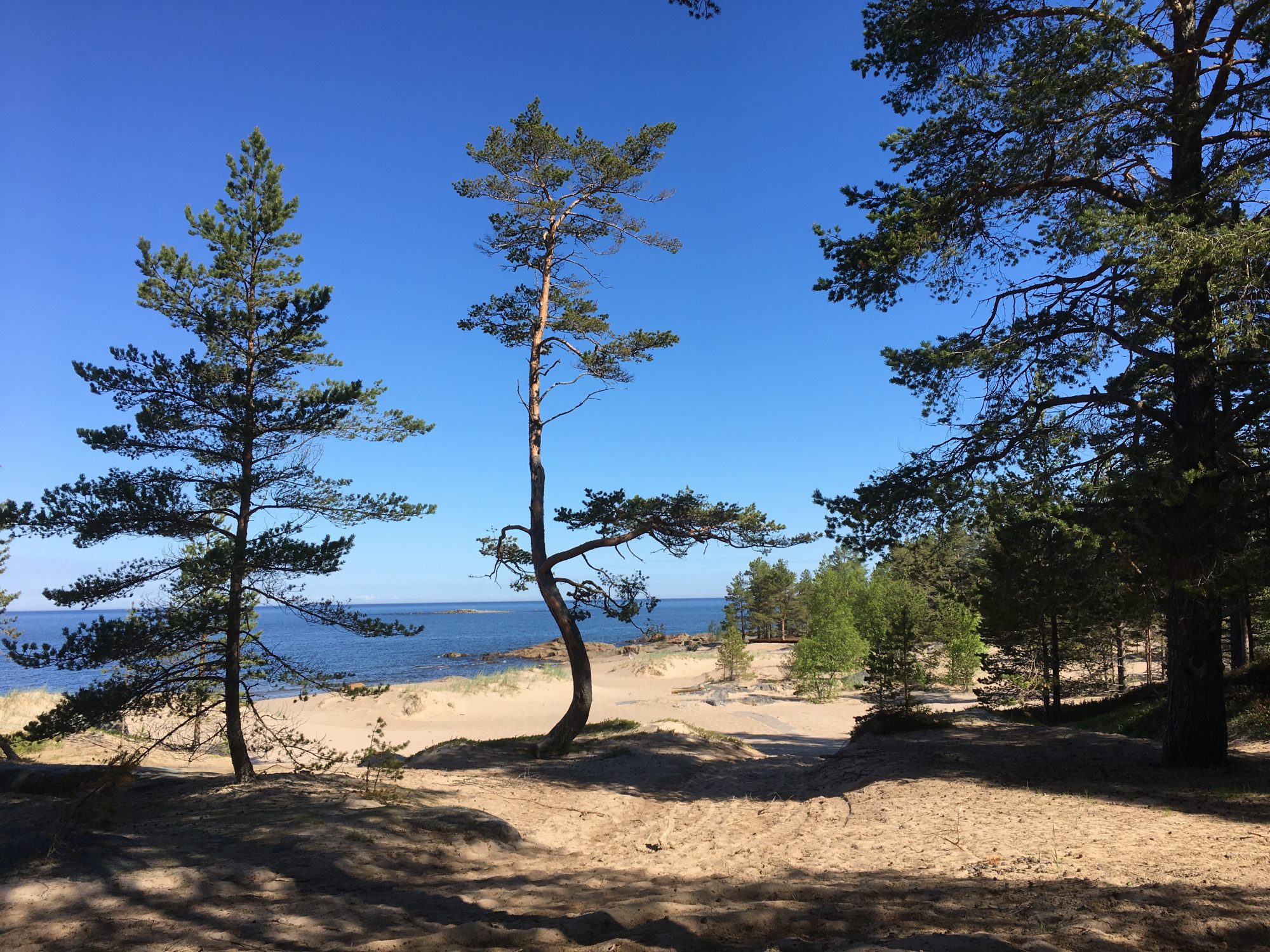 Ostrobothnia road trip in a motorhome: sand dunes of Fäboda