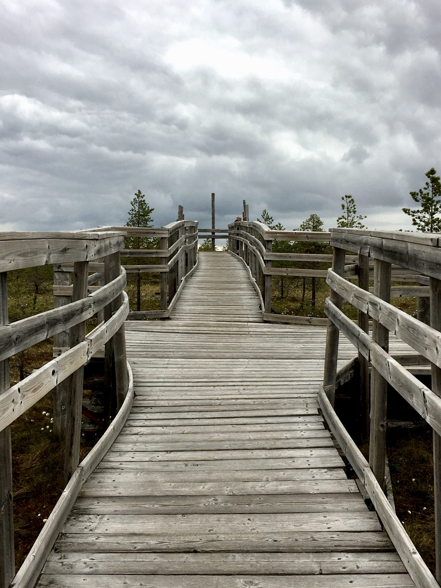 Paukaneva bird-watching tower, Seinäjoki