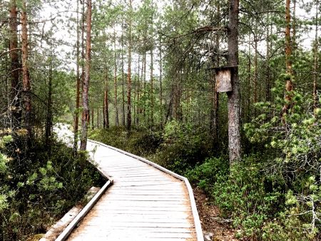 Paukaneva boardwalk, Seinäjoki
