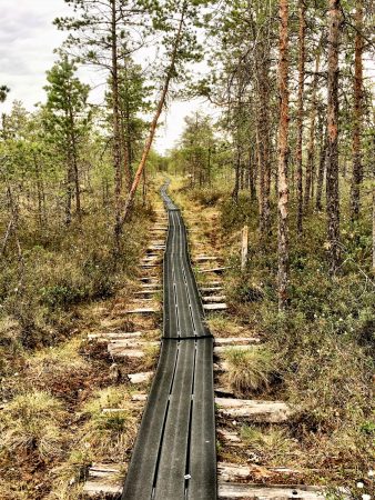 Paukaneva boardwalk, Ostrobothnia road trip