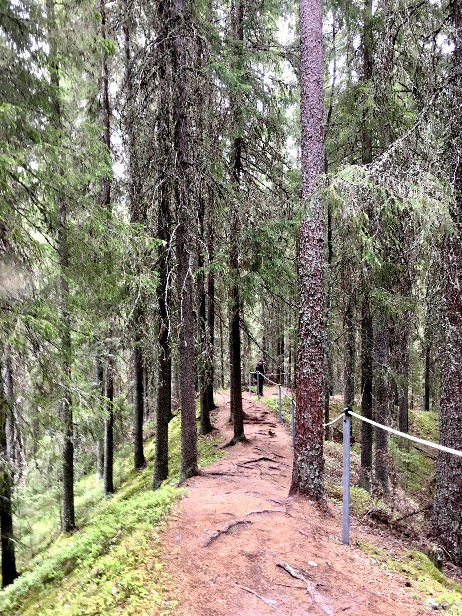 Kolmentuulenlakki ridge, Katikan kanjoni
