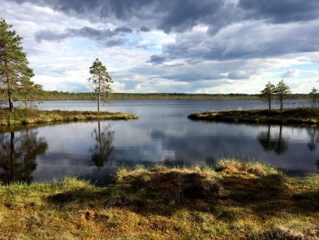 Ostrobotnia road trip: Kauhaneva-Pohjankangas marshland