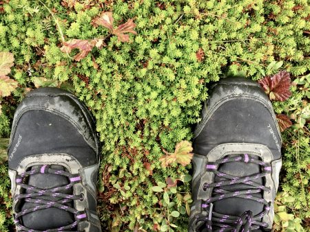Hiking in Moysalen National Park, Norway