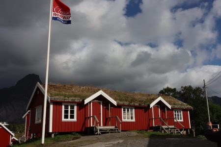 Reine robuer, Lofoten