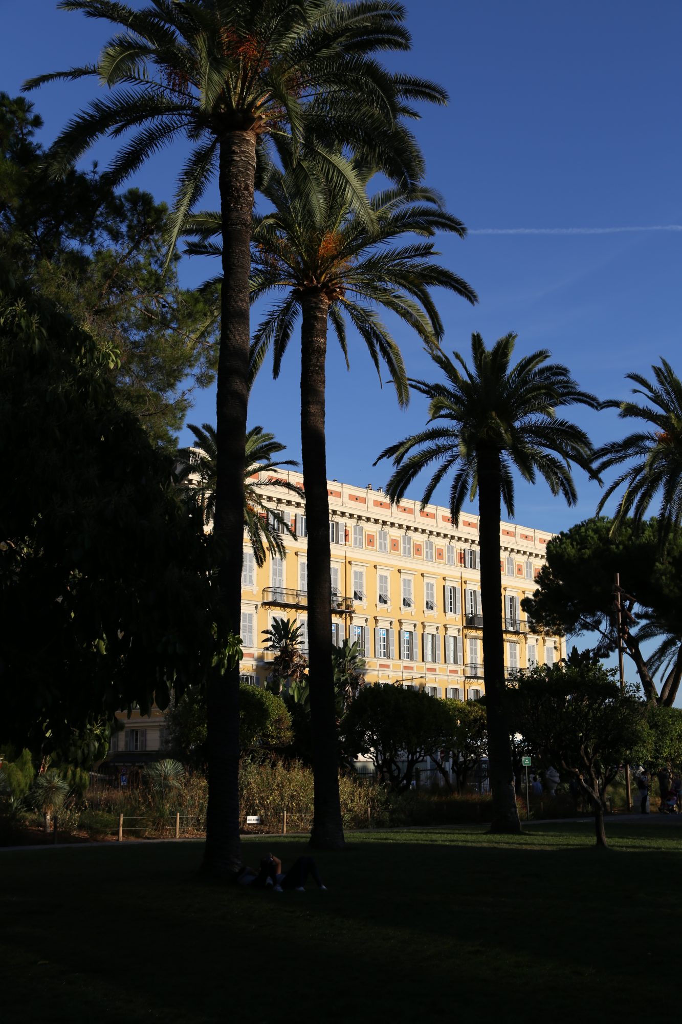Nice in one day: palms of Promenade des Anglais