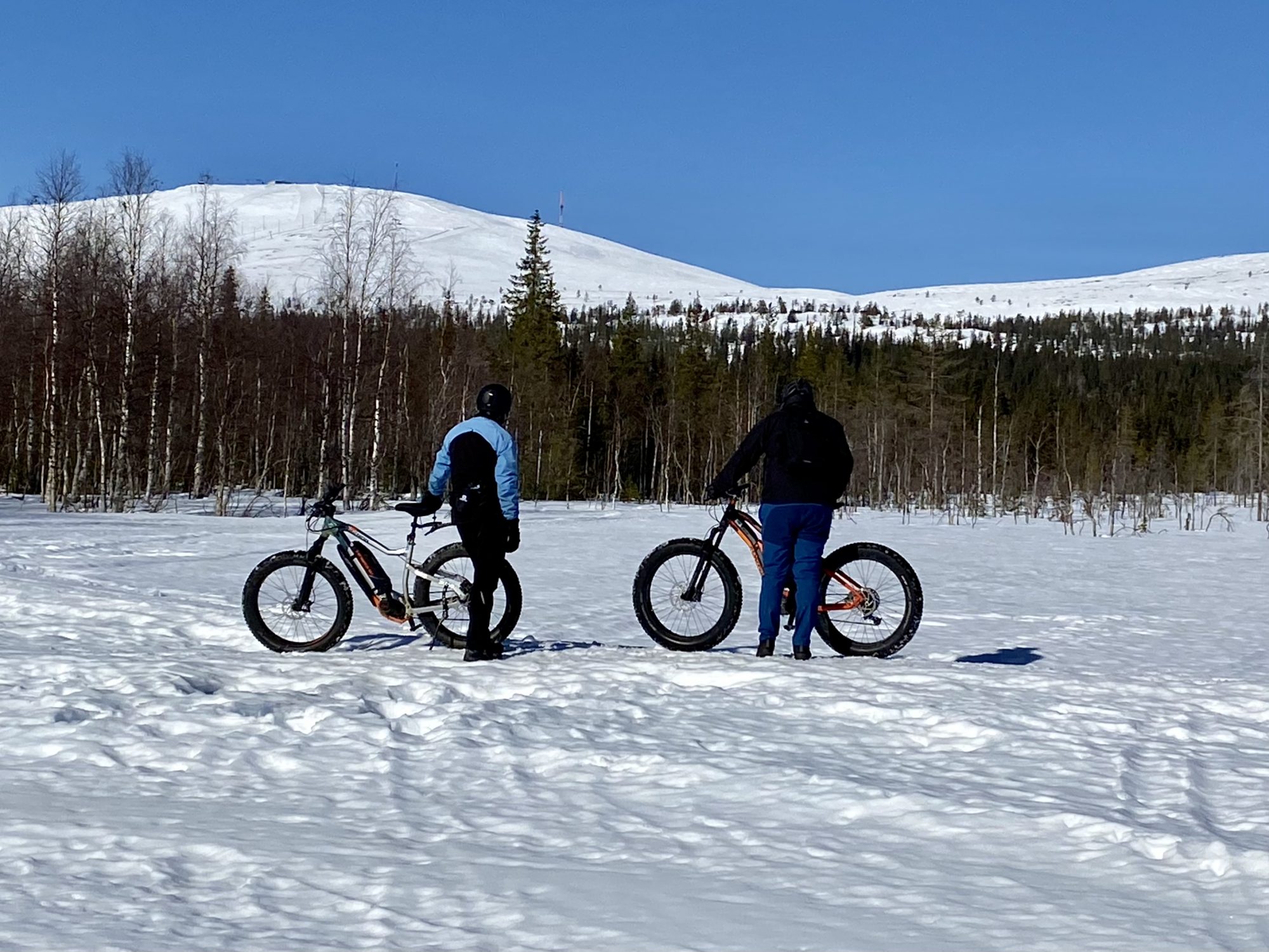 Fatbiking in Lapland Arctic Lapland spring: fatbiking in the fells