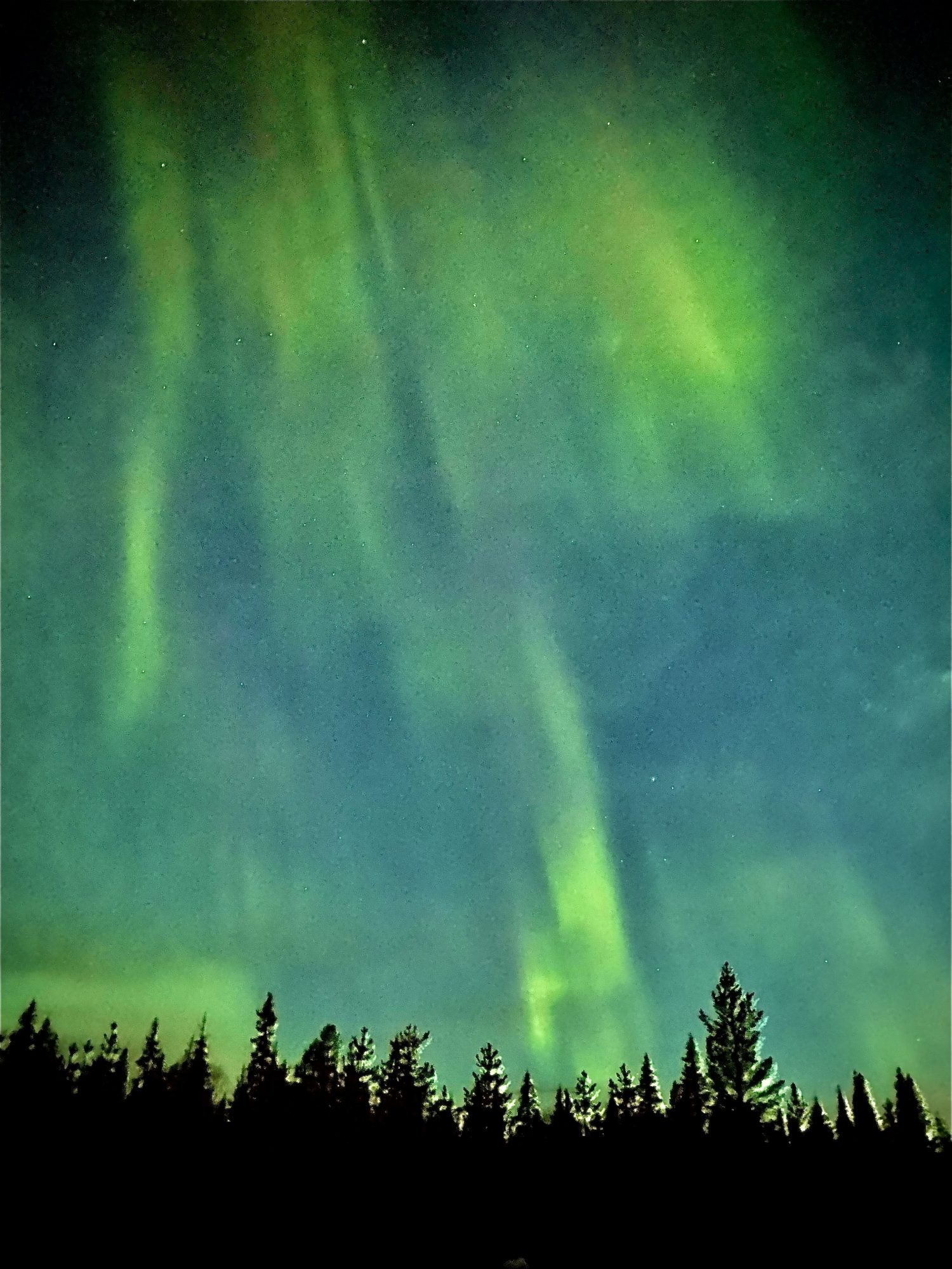 Northern lights dancing in the sky Arctic Lapland spring: northern lights dancing in the sky