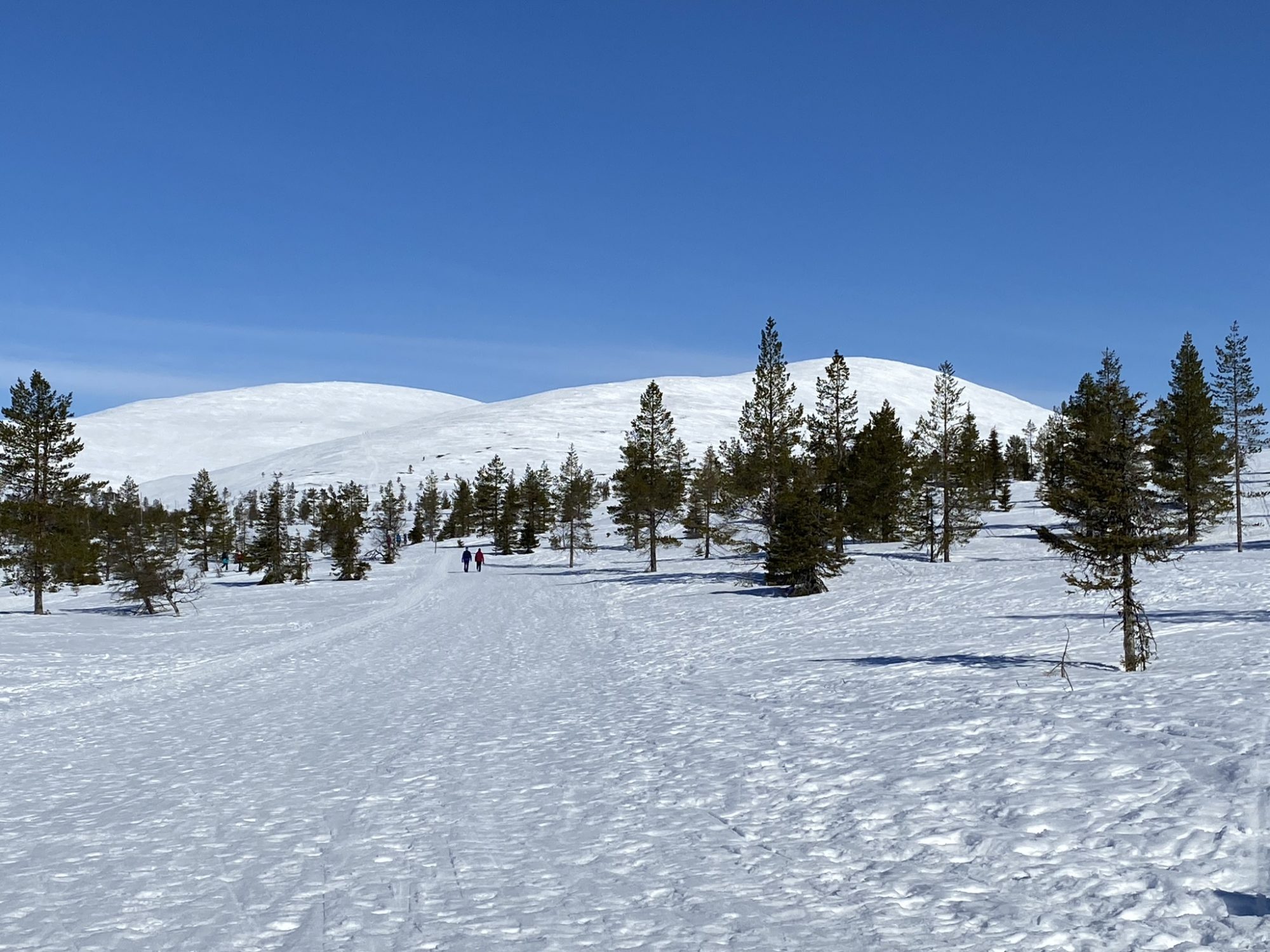 Winter hiking in Pallas, Lapland Walking on snowy trails, Pallas, Lapland