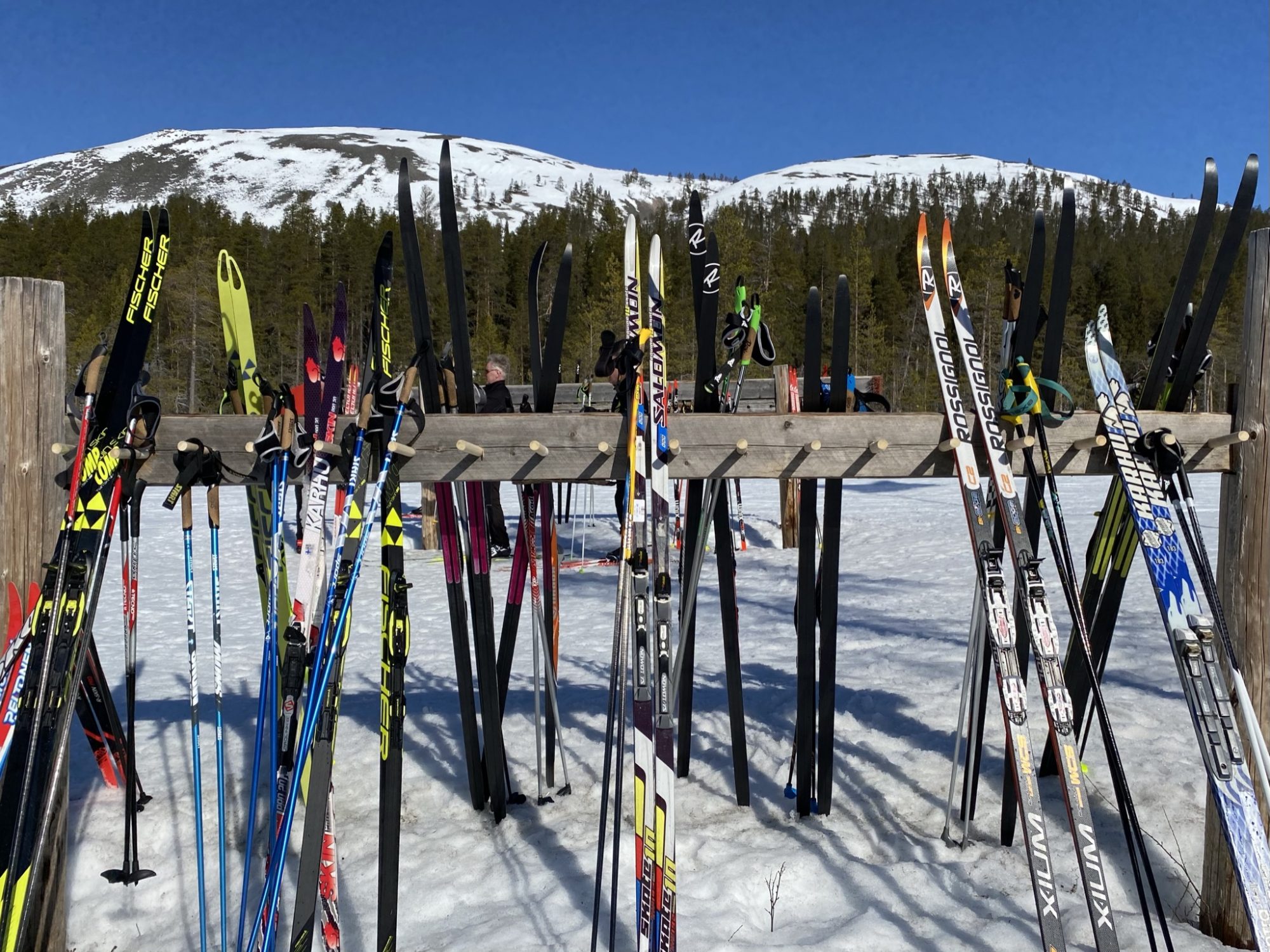 Skis outside a wilderness cafe Arctic Lapland spring: skis outside a wilderness cafe