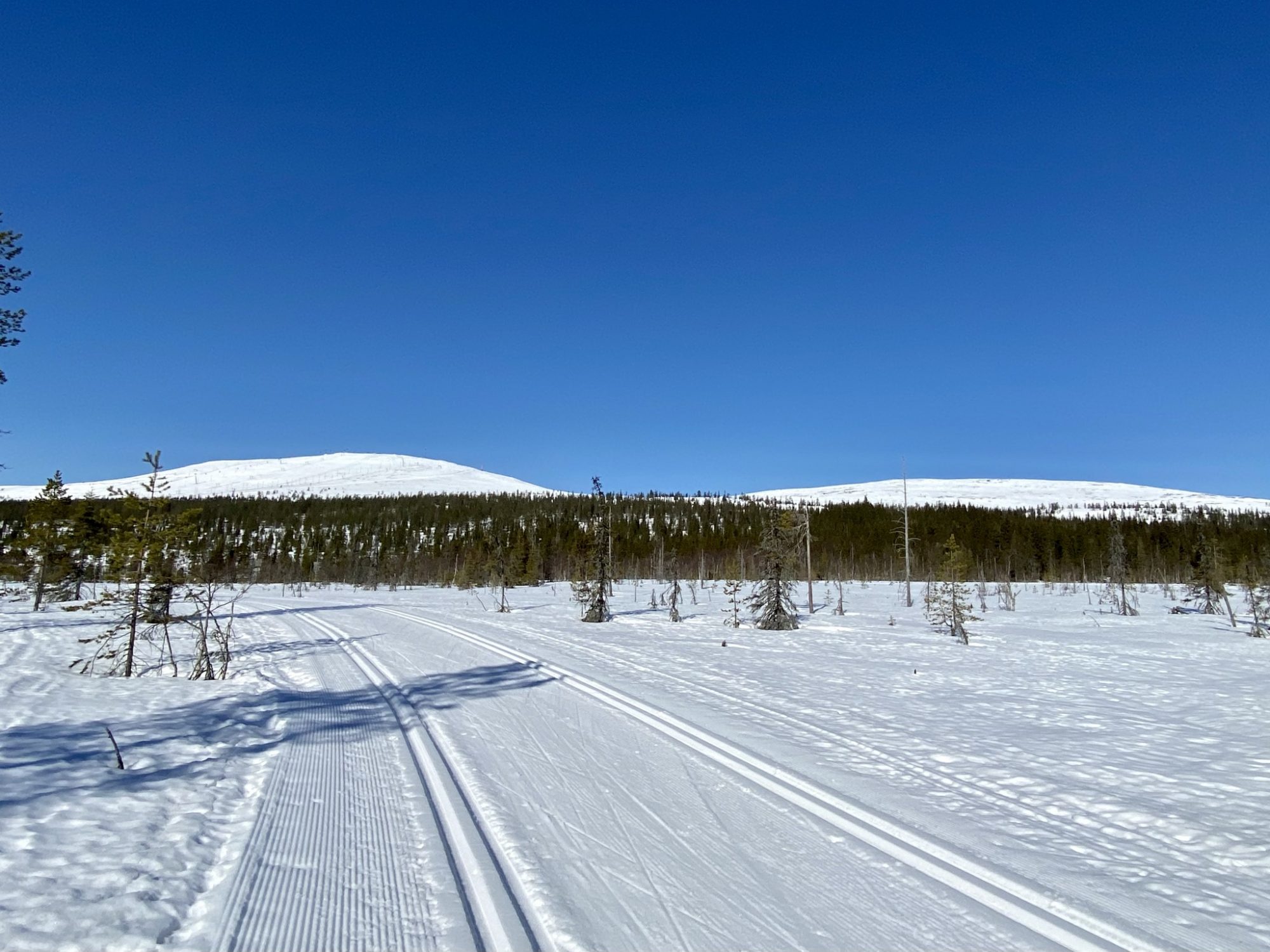 Ylläs ski tracks Arctic Lapland spring: well-prepared ski tracks of Ylläs