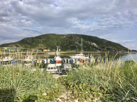 Hillesøytoppen from Sommarøy Camping