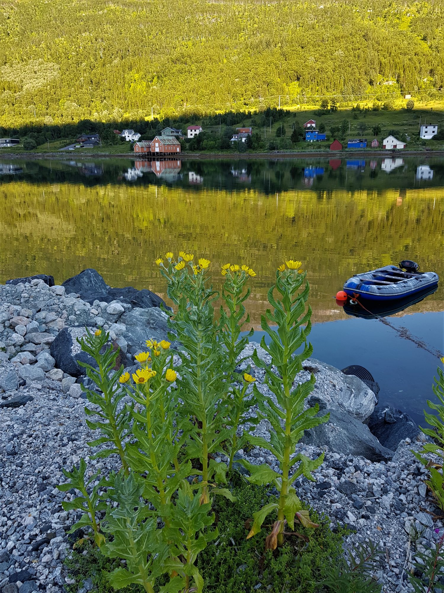 Norway by motorhome: a Kvaloya fjord Norway by motorhome: a Kvaloya fjord