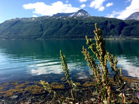 Norway by motorhome: Lyngen Alps and a fjord