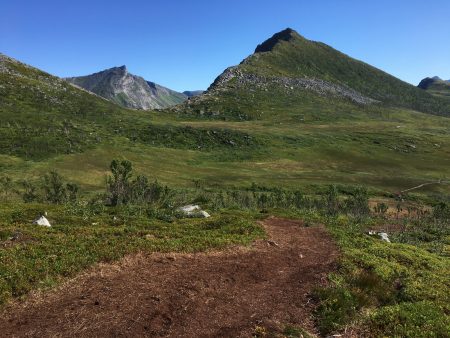 On the slopes of Husfjellet, Senja