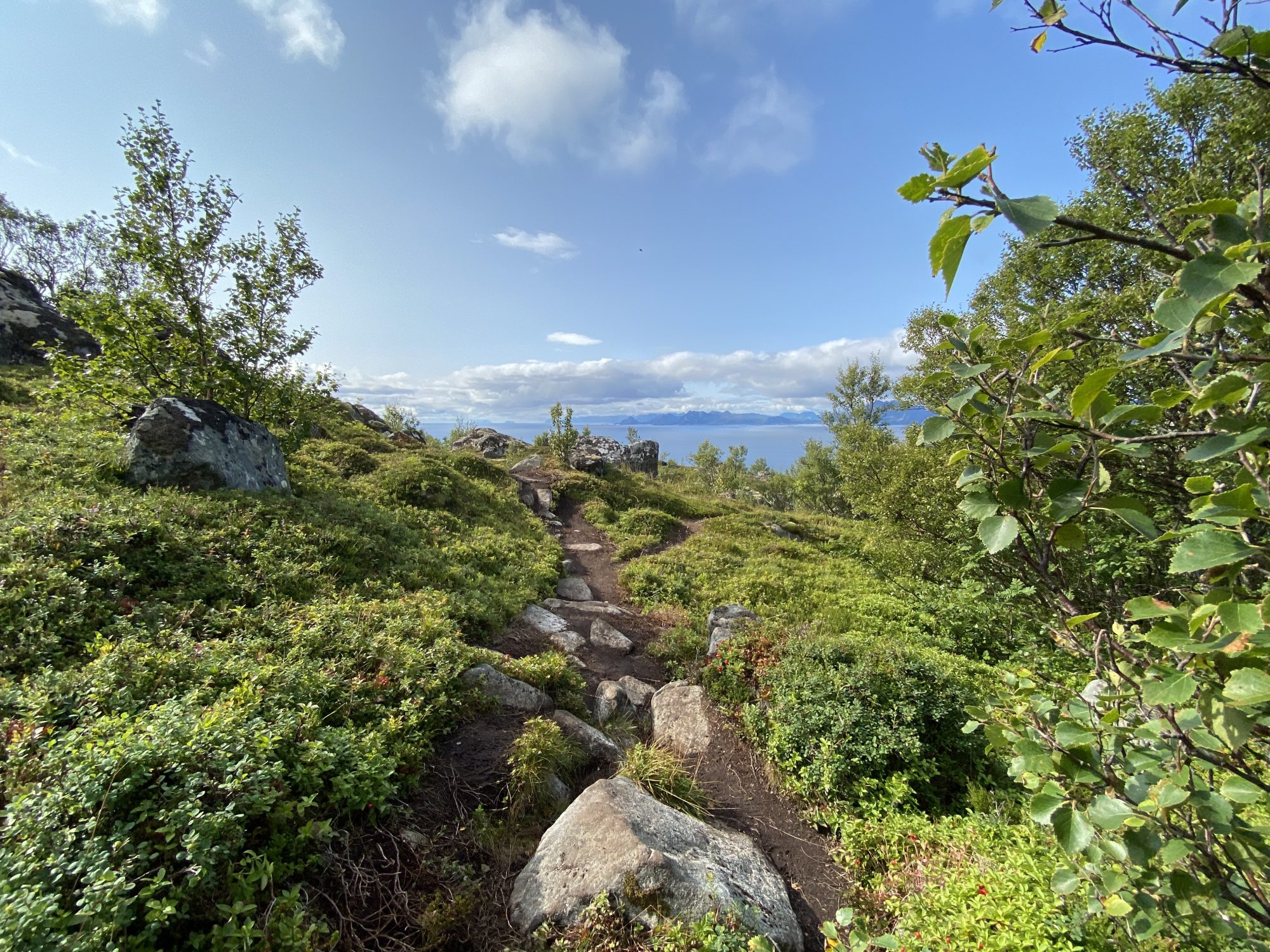 The Heia Hike, Lofoten Lofoten hikes: the Heia Hike