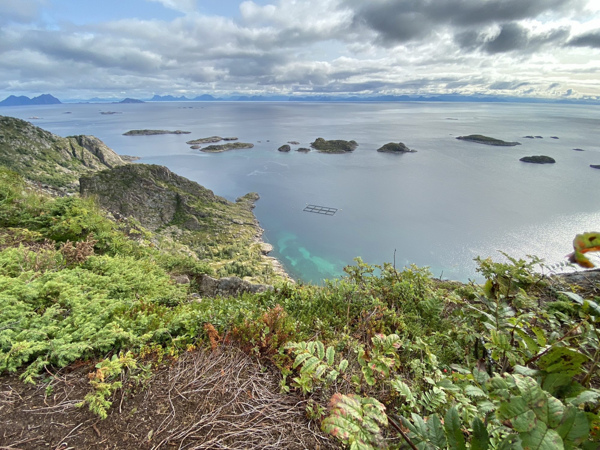 Arctic Ocean from Heia, Lofoten Heia above Henningsvaer, Lofoten