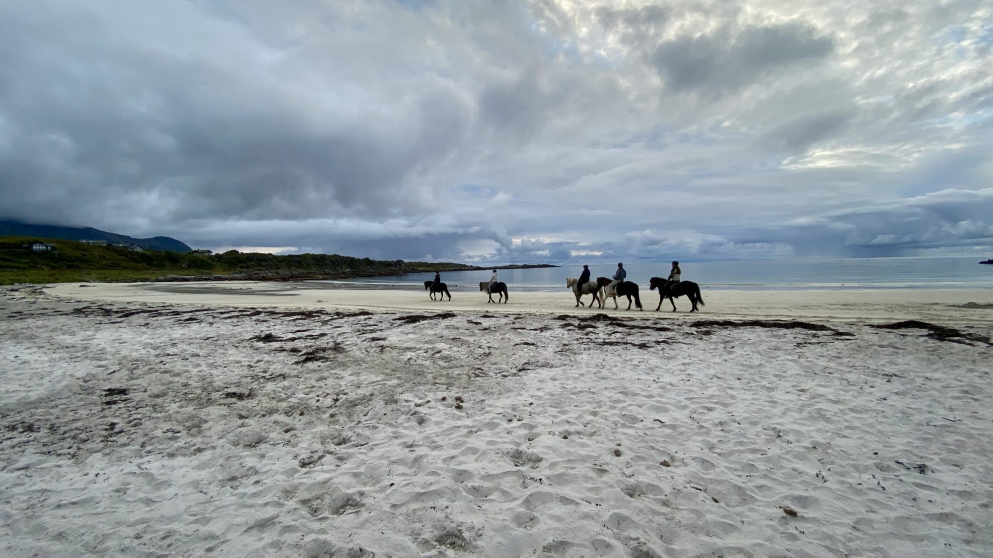 Hov Gård: camping on a horse farm Hov Gård horses on the beach, Gimsoya