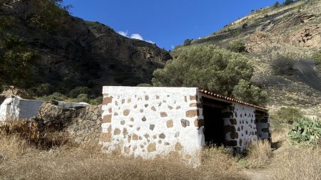 Caldera de Bandama, Gran Canaria's volcano crater