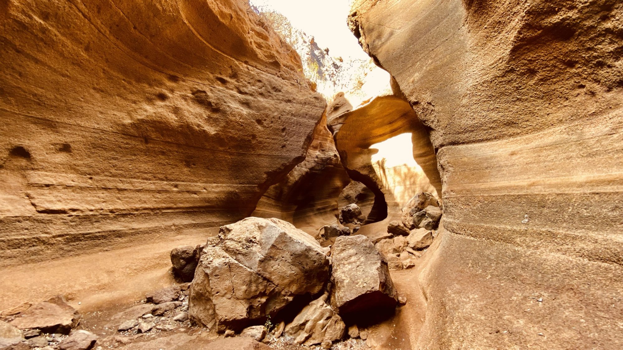 Gran Canria's hidden canyon: Barranco de las Vacas Curved rock walls of Barranco de las Vacas, Gran Canaria