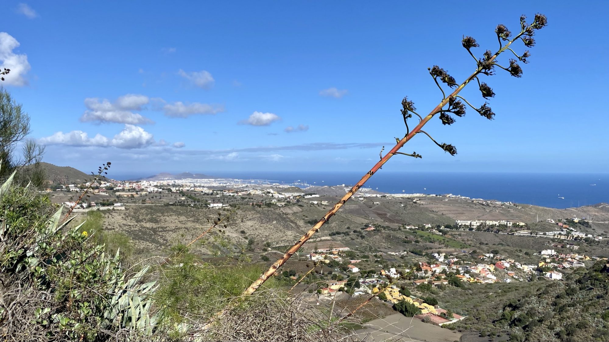 Las Palmas and the east coast seen from Caldera de Bandama