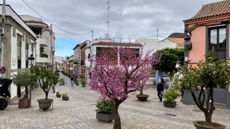 Las Palmas mountain trip: mountain village of Vega de San Mateo
