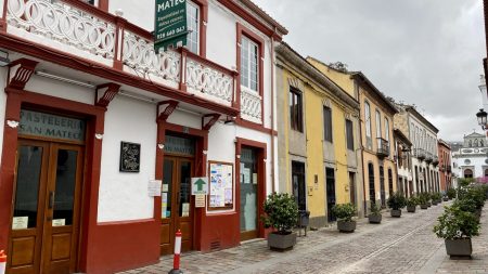Las Palmas mountain trip: Vega de San Mateo